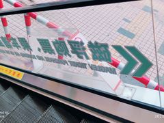 -龙阳路磁悬浮列车总站-停车场