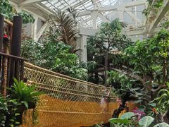 -正佳雨林生态植物园
