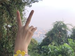 -火炉山森林公园