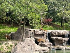 -宁波野生动物园