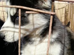 -星悦荟(正兴广场店)