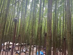 -山王坪喀斯特国家生态公园