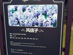 -保利石象湖景区
