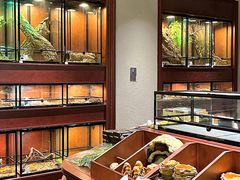 -帕帕拉兹宠物(亚洲旗舰店)