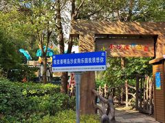 -上海崇明金茂凯悦酒店
