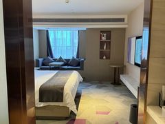 -麗枫(广州番禺长隆南村万博地铁站店)