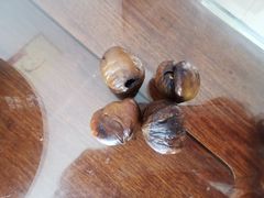 -二斗栗子(黄河道店)