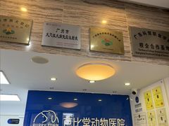 -芭比堂动物医院·心脏科·老年急重症·夜诊·吉雅分院