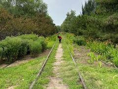-永定河休闲森林公园