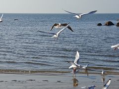 -老虎石海上公园