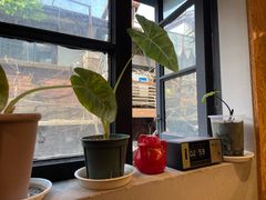 -如果·追梦手工皮具DIY教学店(田子坊店)