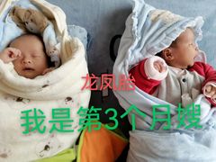 -臻爱住家月嫂育儿嫂(万达店)