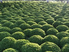 -杭州城北体育公园