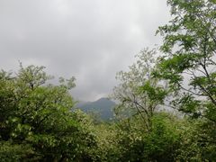 -阳台山自然风景区