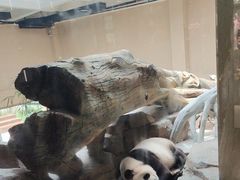 -宁波野生动物园