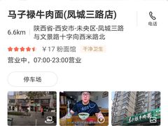 -兰州马子禄牛肉面(文景公园店)