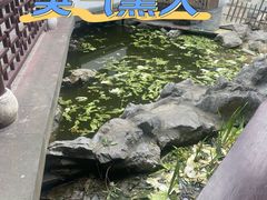 -日出青木·杭帮菜名店