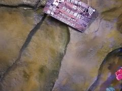 -醉小酒馆·川菜·江湖菜·重庆菜(观音桥旗舰店)