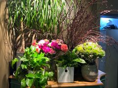 -春暖花开(西溪店)