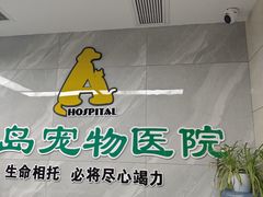 -半岛宠物医院24小时(白果林店)