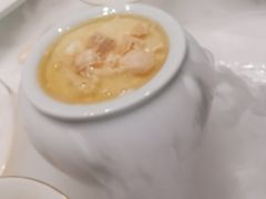 自制老酸奶-阿五黄河大鲤鱼(海尚店)