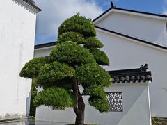 -广富林宰相府酒店·水云间