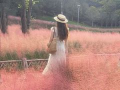 -牛岗山公园