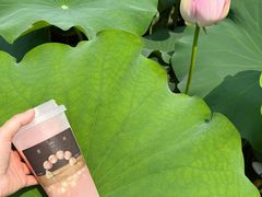 -阿嬷手作(成都万象城店)