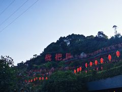 -枇杷园食为鲜火锅(南山店)