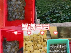 -蟹天蟹地农家菜·阳澄湖大闸蟹(浅水湾店)