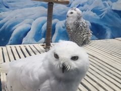 -成都浩海立方海洋公园