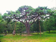 -香山公园