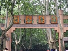 -灵谷景区