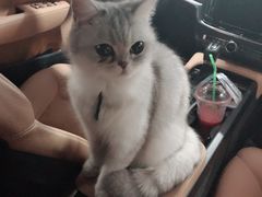 -安安宠医·安宠宠物医院