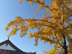 -浙江大学(紫金港校区)