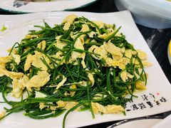 -靖远尕六美味羊羔肉