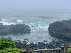 -涉地可支