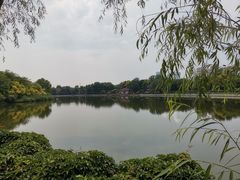 -塘沽森林公园