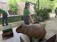 -河川生态园