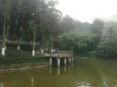 -龙头寺公园
