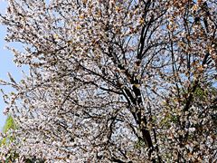 -木塔寺遗址生态公园