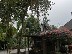 -西双版纳傣族园
