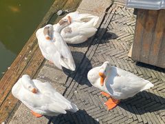 -苏州碑刻博物馆