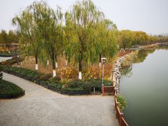 -大兴滨河森林公园