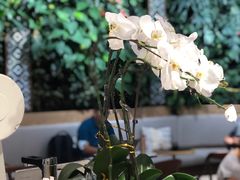 -Peet's Coffee皮爷咖啡(德基店)