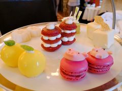 -Salon de Ville浦江汇(上海外滩华尔道夫酒店店)