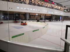 -TheRink大零溜冰场(IFS国金中心店)