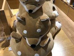 -九木杂物社(江宁金鹰店)
