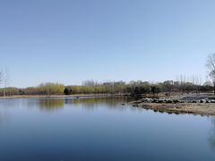 -大兴滨河森林公园