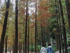 -广州市帽峰山景区